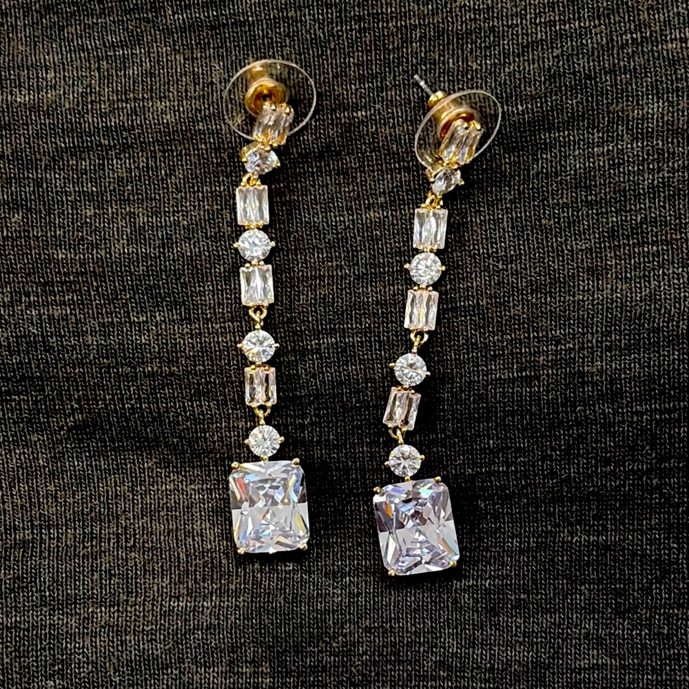 Express Earrings
